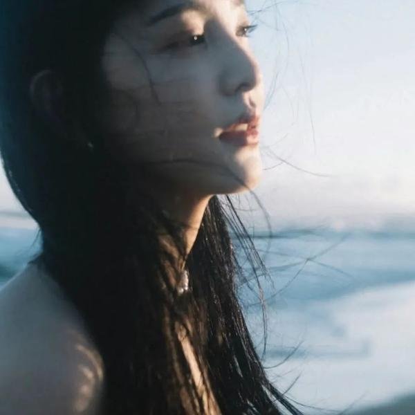 灰天鹅绒上的四只苍蝇